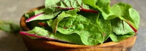 Garlic Swiss Chard