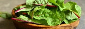 swiss chard