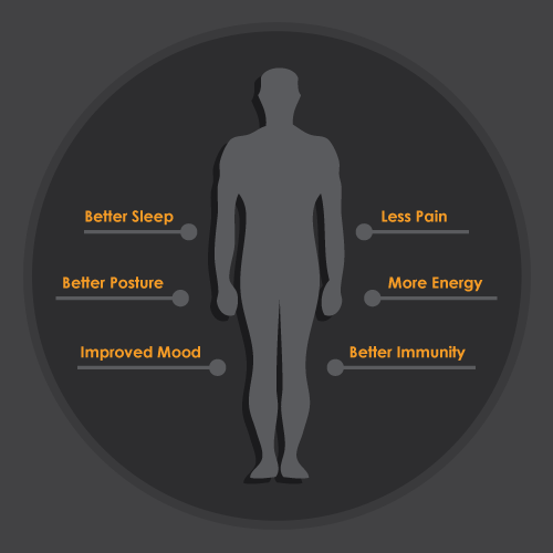 Spine anatomy disc degeneration, medical conceptual infographic vector illustration