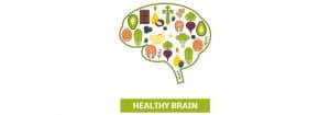 Healthy Brain