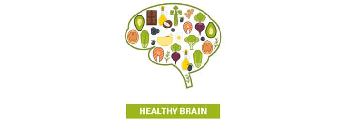 Healthy Brain