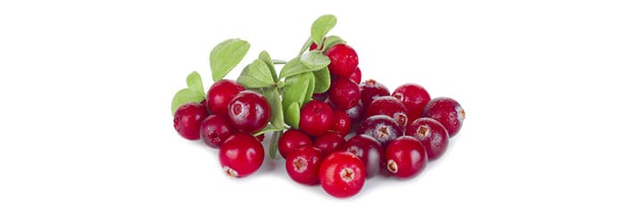 Healthy Berries