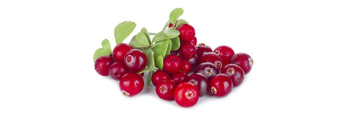 Healthy Berries Healthy Berries