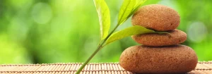 Why Choose Organic Bioidentical Hormone Therapy in Annapolis MD?